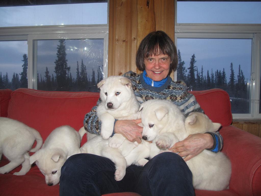 Arctic Chalet Resort Inuvik Eksteriør billede