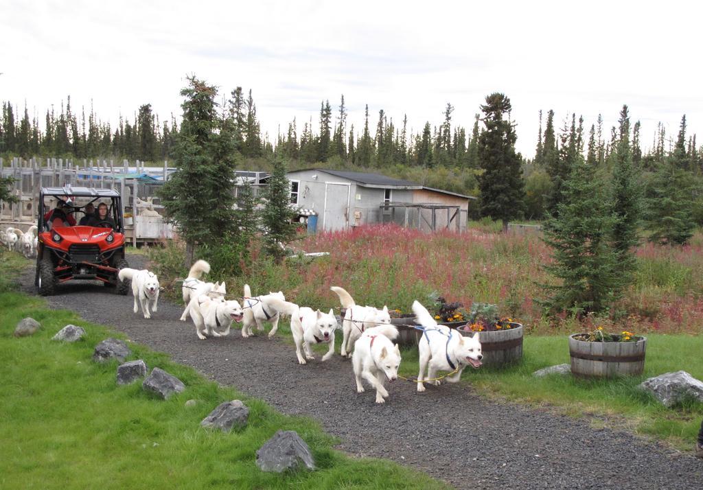 Arctic Chalet Resort Inuvik Eksteriør billede